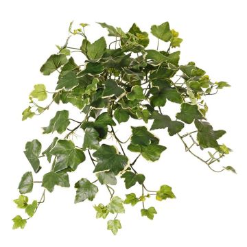Hiedra artificial colgante ARJANA, varilla, crossdoor, verde y blanco, 50 cm