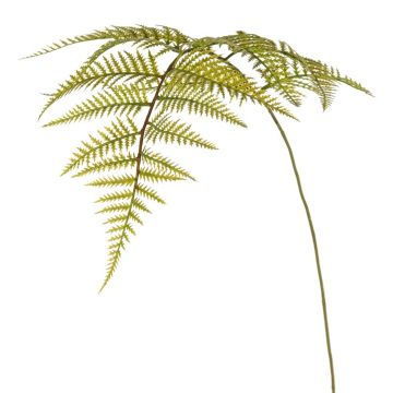 Hoja de helecho espada artificial HINWIL, verde, 80 cm