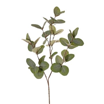 Rama artificial de eucalipto EMMENDA, verde, 80 cm Rama artificial de eucalipto EMMENDA, verde, 80 cm