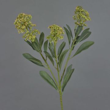 Plantas artificiales Rama de skimmia LAUSANA con flores, verde, 65 cm