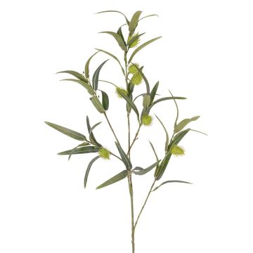 Epilobio falso Rama TASMIN, frutos, verde, 95 cm Epilobio falso Rama TASMIN, frutos, verde, 95 cm