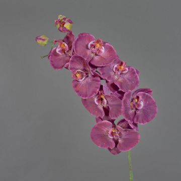 Rama decorativa de orquídea Phalaenopsis WESA, violeta oscuro-blanco, 100 cm
