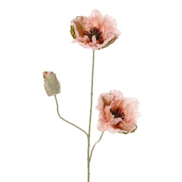 Rama decorativa de amapola MODLING, rosa, 75 cm, Ø 12 cm