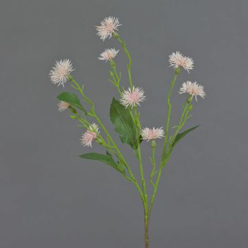 Flor artificial de margarita HOLLA, rosa pálido, 55 cm