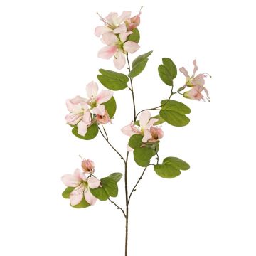 Rama artificial Bauhinia ENSANA, rosa pálido, 120 cm