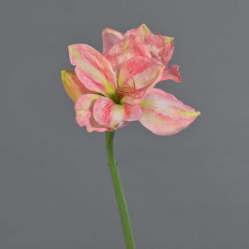 Amaryllis artificial NARWELA, rosa crema, 70 cm, Ø 10-13 cm