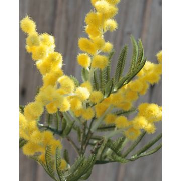 Rama de mimosa artificial BENRIKE, flores, amarillo, 40cm, Ø3cm