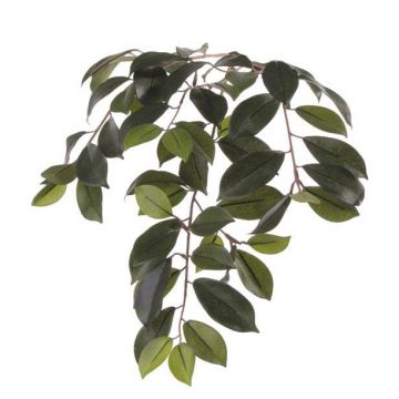 Rama de Ficus Microcarpa de simulación BHAO, verde, 65cm