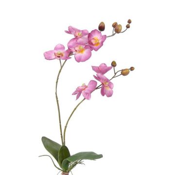 Orquídea Phalaenopsis sintética NAARA vara fijación, rosa, 75cm, Ø6-8cm