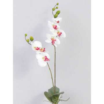 Orquídea Phalaenopsis sintética NAARA vara fijación, blanco-fucsia, 75cm, Ø6-8cm