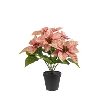 Estrella de Navidad artificial GRULEN en maceta decorativa, color melocotón, 40 cm