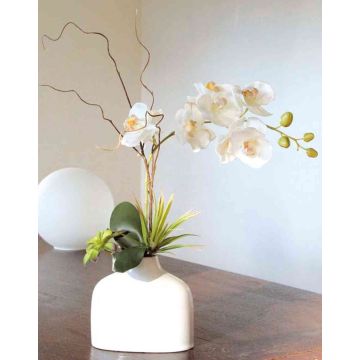 Orquídea Phalaenopsis artificial TIALDA, suculentas, jarrón de cerámica, blanco, 50cm