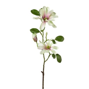 Rama de flores artificiales magnolia estrellada BLOVI, verde claro, 60 cm