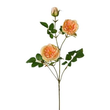 Rama artificial de peonía KROVEL, albaricoque, 75 cm