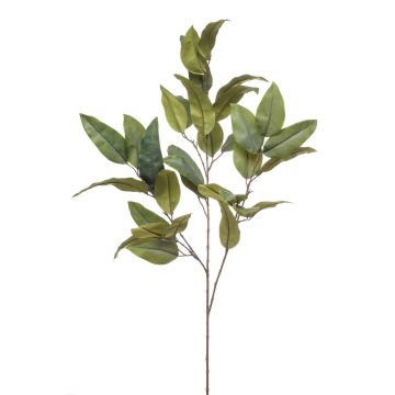 Rama de eucalipto artificial BELUNI, verde, 125 cm