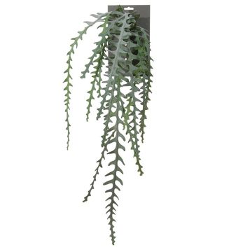 Cactus epiphyllum de plástico colgante OHNA, verde, 90cm