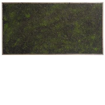 Seto artificial / Esterilla de musgo en marco HONAM, marrón-verde, 100x50cm
