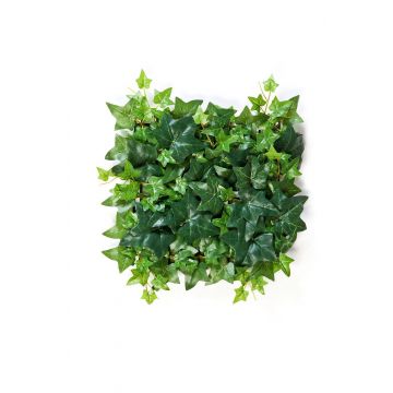 Seto de hiedra sintético LUKA, verde, 30x30cm