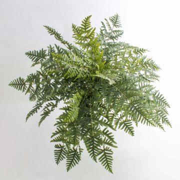 Helecho Athyrium artificial RENE, vara de fijación, verde, 75cm, Ø90cm