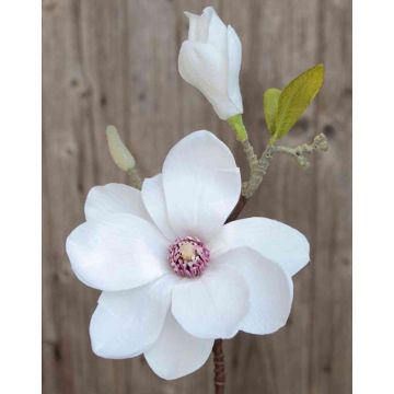 Magnolia textil FEMI, blanco, 35cm, Ø12cm