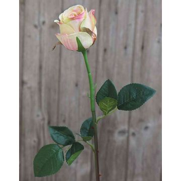 Rosa artificial SAPINA, amarillo-rosa, 60cm, Ø6cm