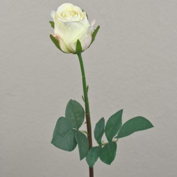 Rosa artificial SAPINA, crema-albaricoque, 60cm, Ø6cm