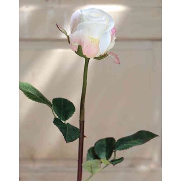 Rosa artificial SAPINA, crema-albaricoque, 60cm, Ø6cm