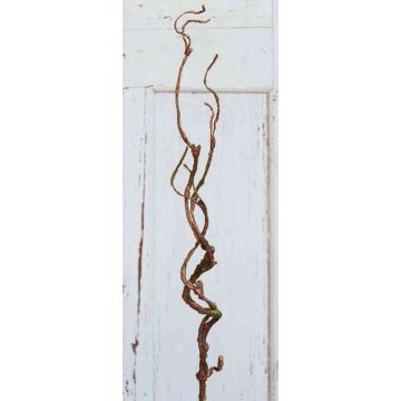 Rama artificial de salix matsudana TONY, marrón, 75cm