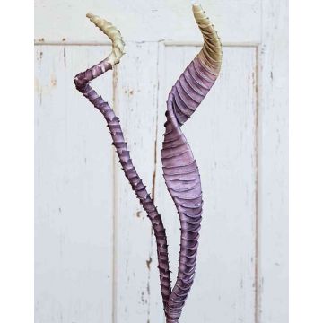 Hojas artificiales de Aloe aristata EMILIUS, verde-violeta, 95cm