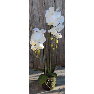 Orquídea Phalaenopsis artificial VEENA en bola de tierra, blanco, 80cm