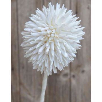 Allium artificial MERAL, blanco, 80cm, Ø14cm