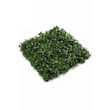 Seto de hiedra artificial ANKA para exterior, verde, 50x50cm