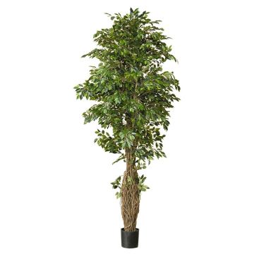 Ficus Benjamini artificial ALMINKO, tronco natural, verde, 330cm