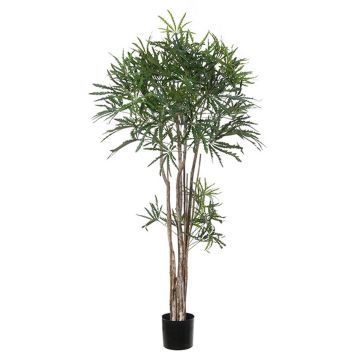 Schefflera elegantissima artificial ASAF, tronco natural, verde, 150cm