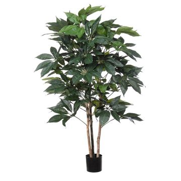 Schefflera decorativa BOGDANA, tronco natural, verde, 160cm