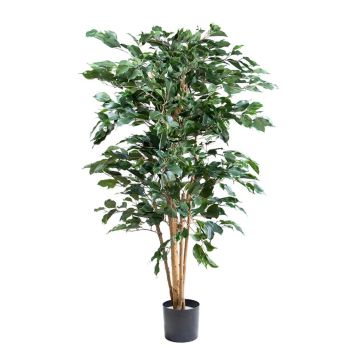 Ficus benjamina artificial AKAHI, tronco natural, verde, 150cm