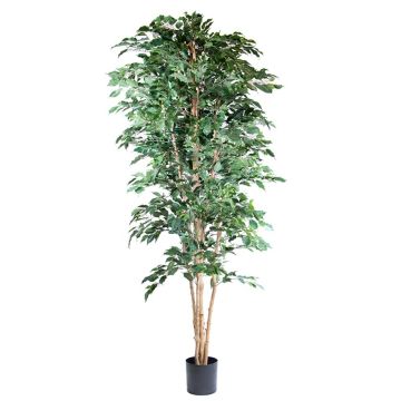 Ficus benjamina artificial AKAHI, tronco natural, verde, 240cm