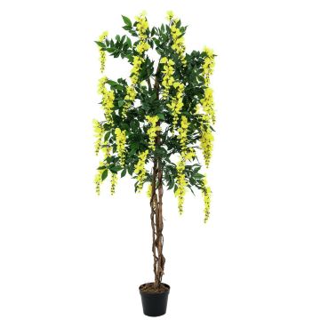 Citiso artificial LESLIE, tronco real, flor, amarillo, 150cm