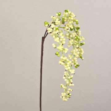 Rama de saúco artificial SWANTJE, frutos, crema-verde, 40cm