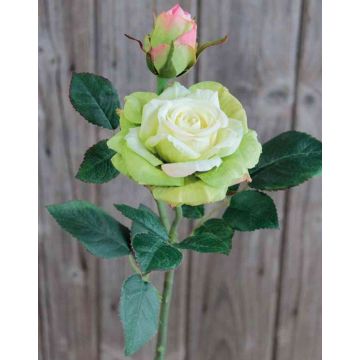 Rosa artificial SINJE, crema-verde, 35cm, Ø9cm