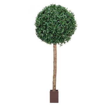 Bola de laurel decorativa BRANIMIRO en maceta decorativa, tronco natural, 290cm, Ø135cm