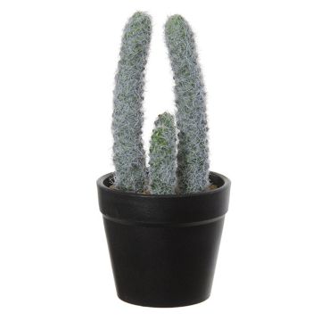 Cactus columnar artificial TIRRA, maceta, blanco-verde, 16cm