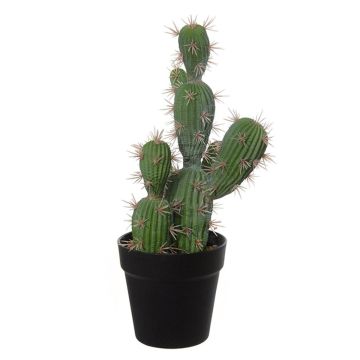 Cactus artificial San Pedro TORINU, maceta, verde, 40cm