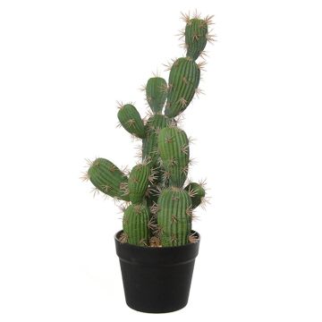 Cactus artificial San Pedro TORINU, maceta, verde, 50cm