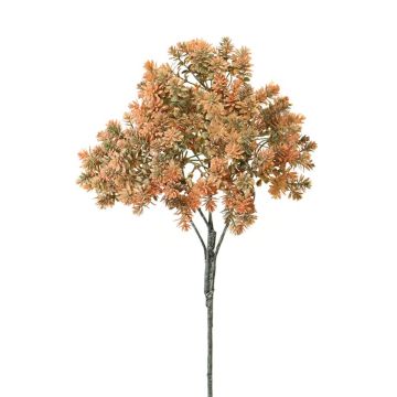 Sedum rubrotinctum decorativo NIRMALA, varilla, naranja-verde, 40cm