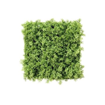 Seto / Esterilla artificial de musgo islandés HAVAH, verde, 25x25cm