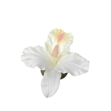 Orquídea Dendrobium Sonia artificial CERIN, flotante, blanco-crema, Ø14cm