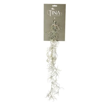Tillandsia Usneoides decorativa DAMASO, varilla, gris-verde, 80cm