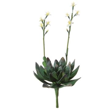 Aeonium artificial LILKA con flores, varilla, verde-blanco, 35cm