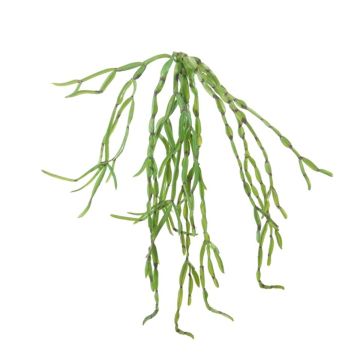 Cactus epiphyllum artificial colgante LOPEN en varilla, verde, 70cm